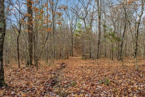 0 Crockett Point Jasper TN 37347