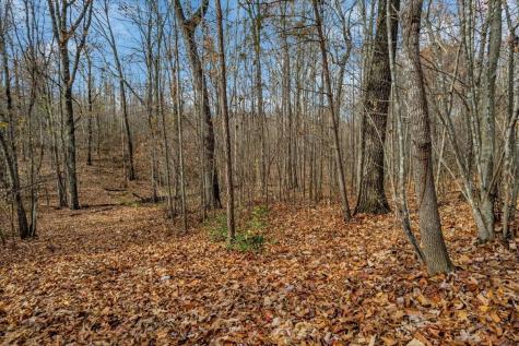 0 Crockett Point Jasper TN 37347