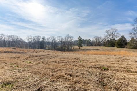 7314 Hunting Camp Road Fairview TN 37062