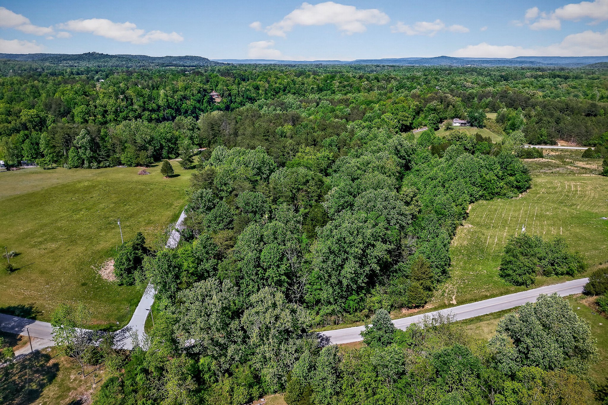 305 Caney Bend Road Doyle TN 38559