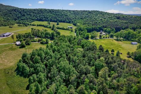 305 Caney Bend Road Doyle TN 38559