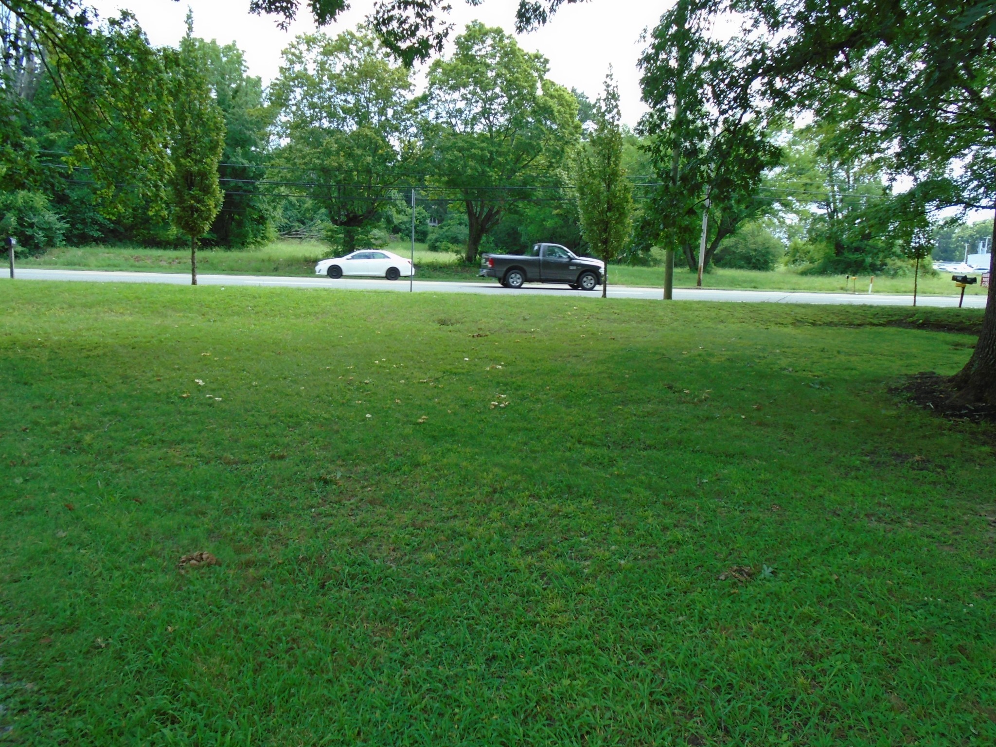 2503 Memorial Boulevard Springfield TN 37172