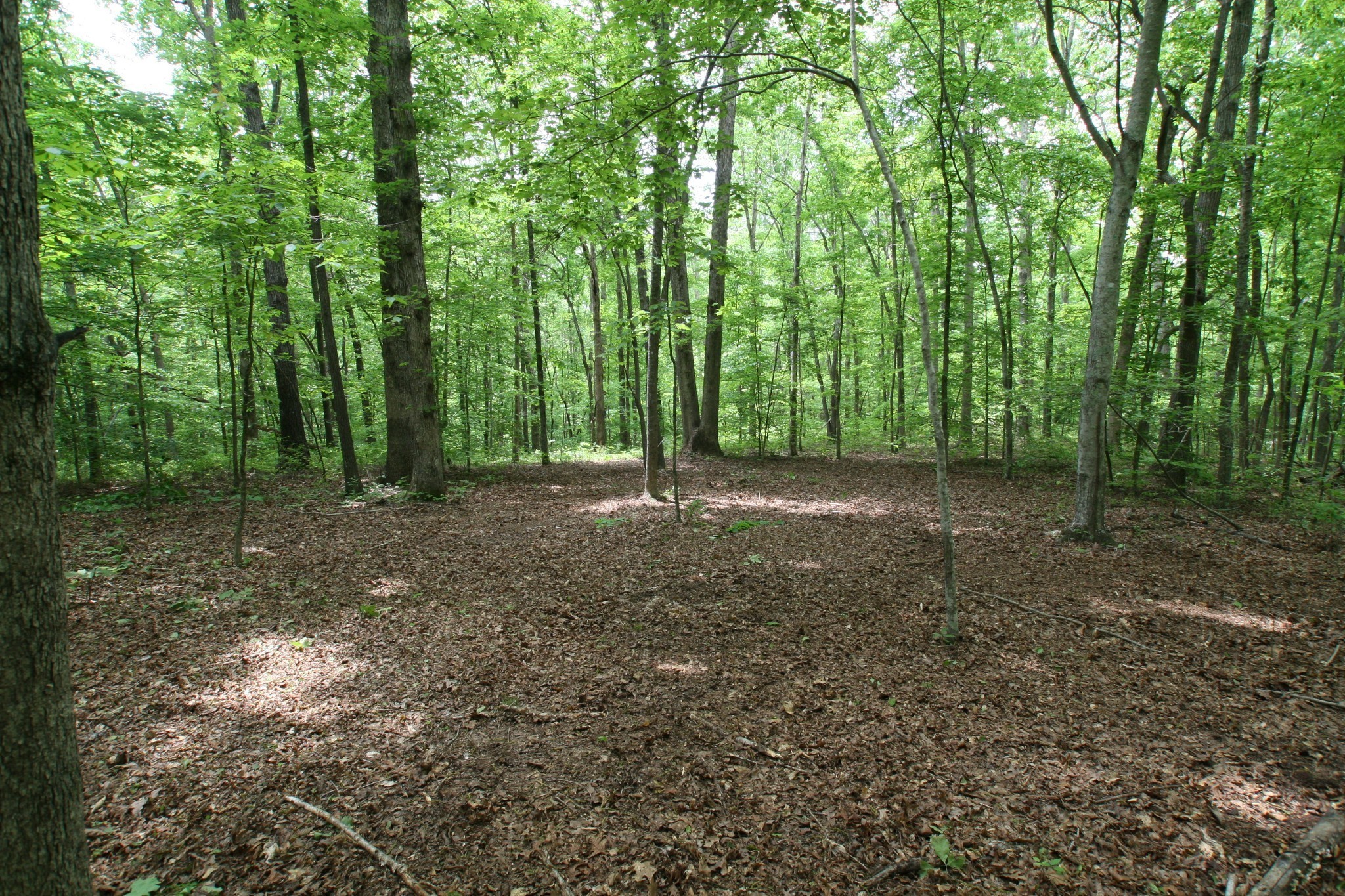5671 Pinewood Road Franklin TN 37064