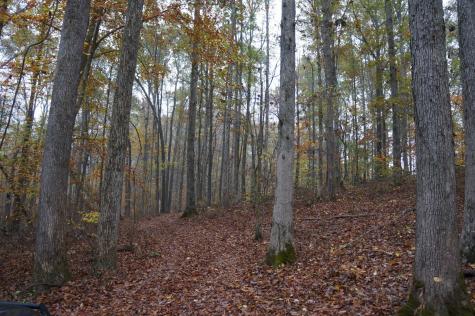 5671 Pinewood Road Franklin TN 37064