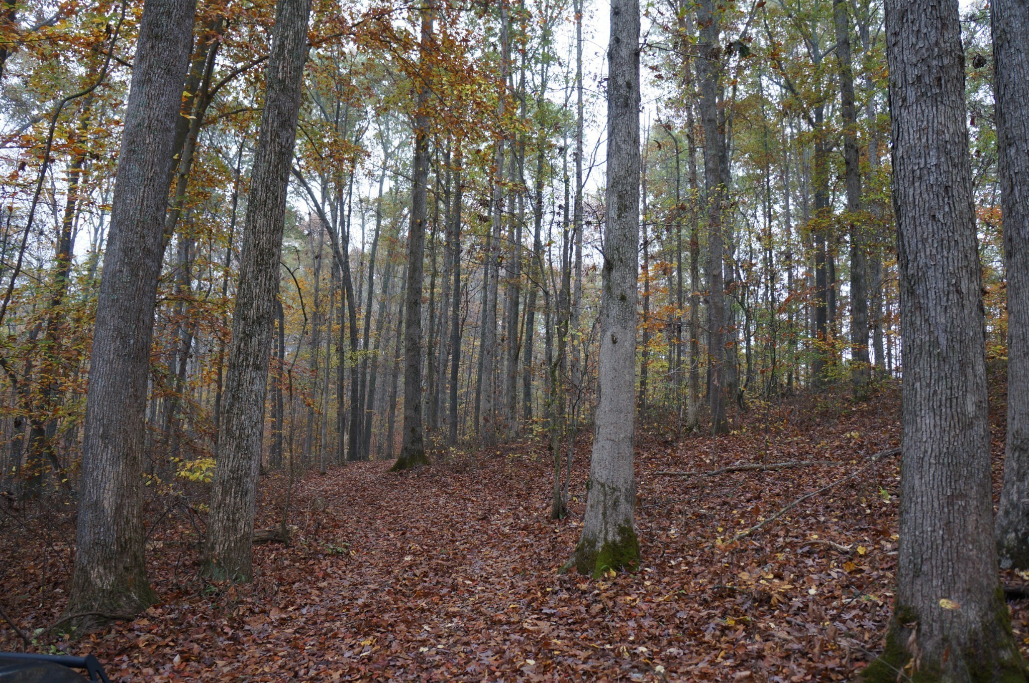 5671 Pinewood Road Franklin TN 37064