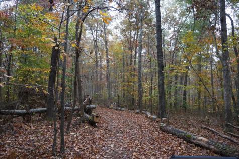 5671 Pinewood Road Franklin TN 37064
