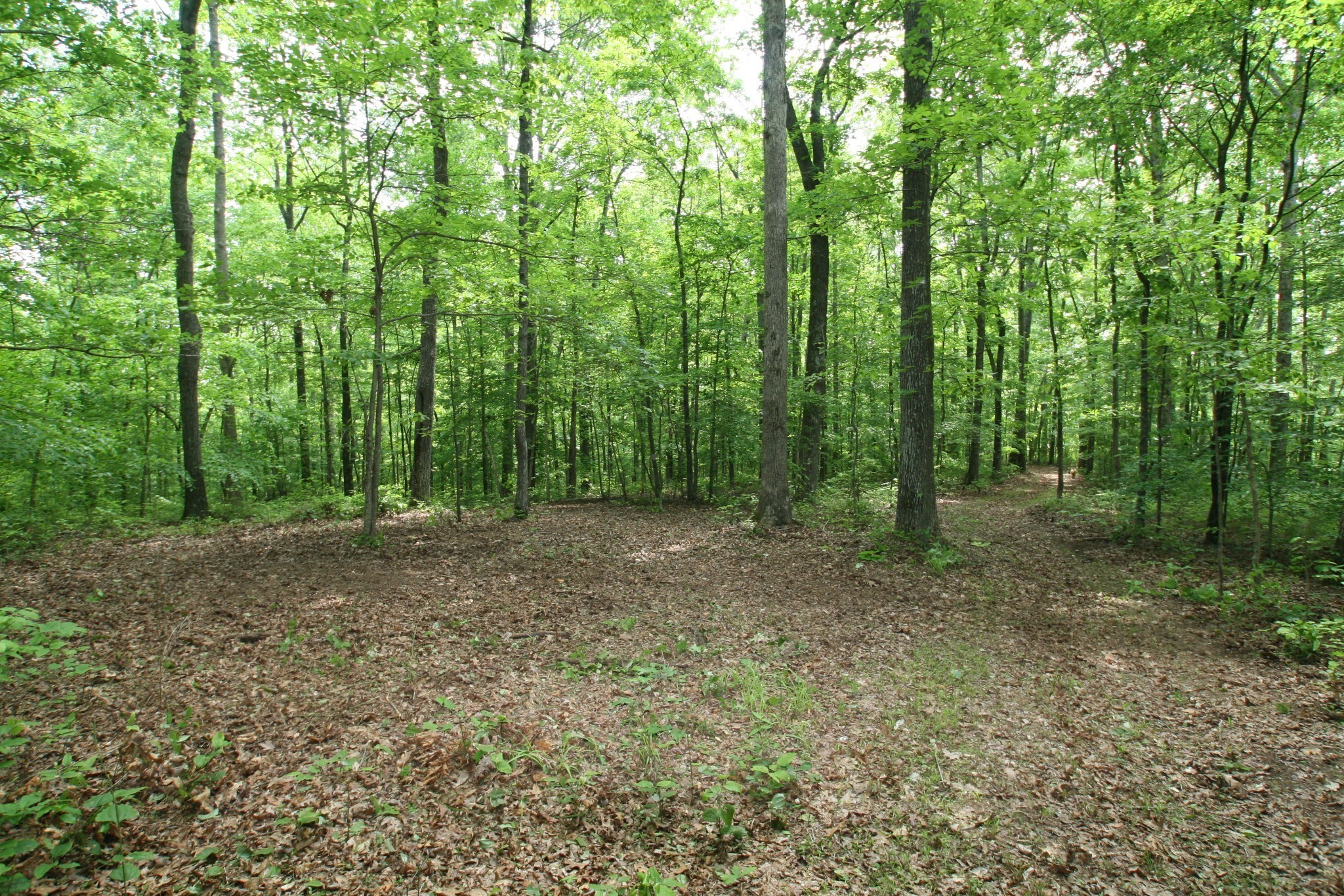 5671 Pinewood Road Franklin TN 37064