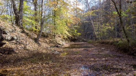 5671 Pinewood Road Franklin TN 37064