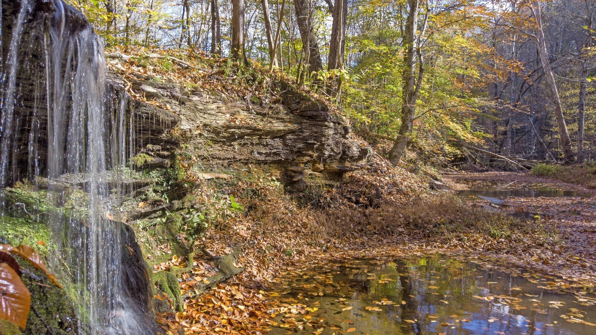 5671 Pinewood Road Franklin TN 37064
