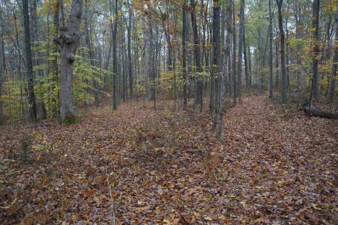 5671 Pinewood Road Franklin TN 37064
