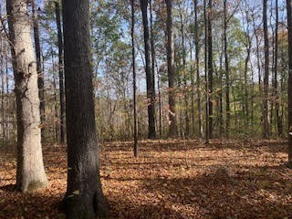 5671 Pinewood Road Franklin TN 37064