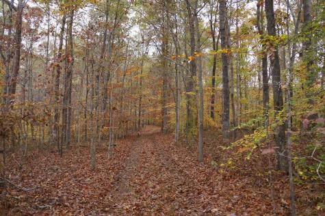 5671 Pinewood Road Franklin TN 37064