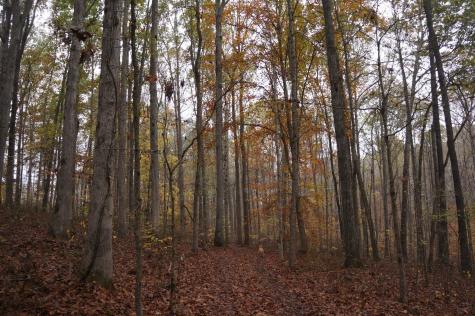 5671 Pinewood Road Franklin TN 37064