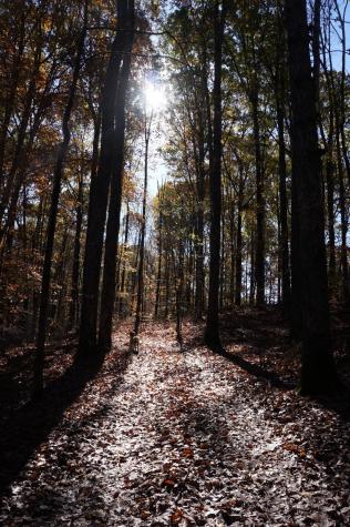 5671 Pinewood Road Franklin TN 37064