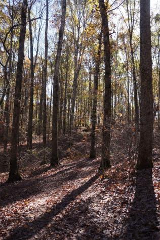 5671 Pinewood Road Franklin TN 37064