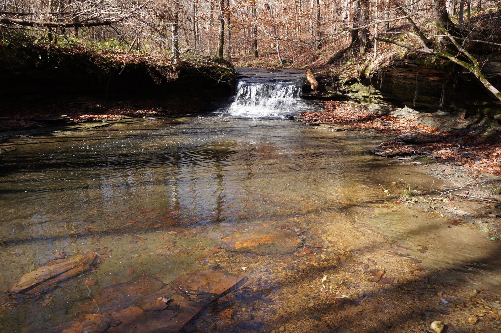5671 Pinewood Road Franklin TN 37064