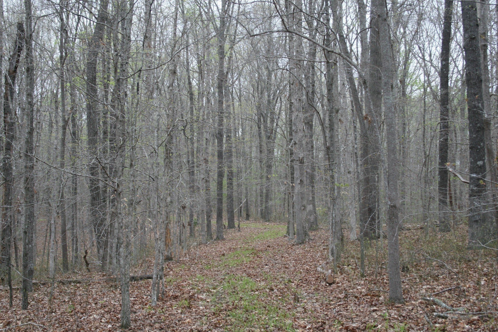 5671 Pinewood Road Franklin TN 37064