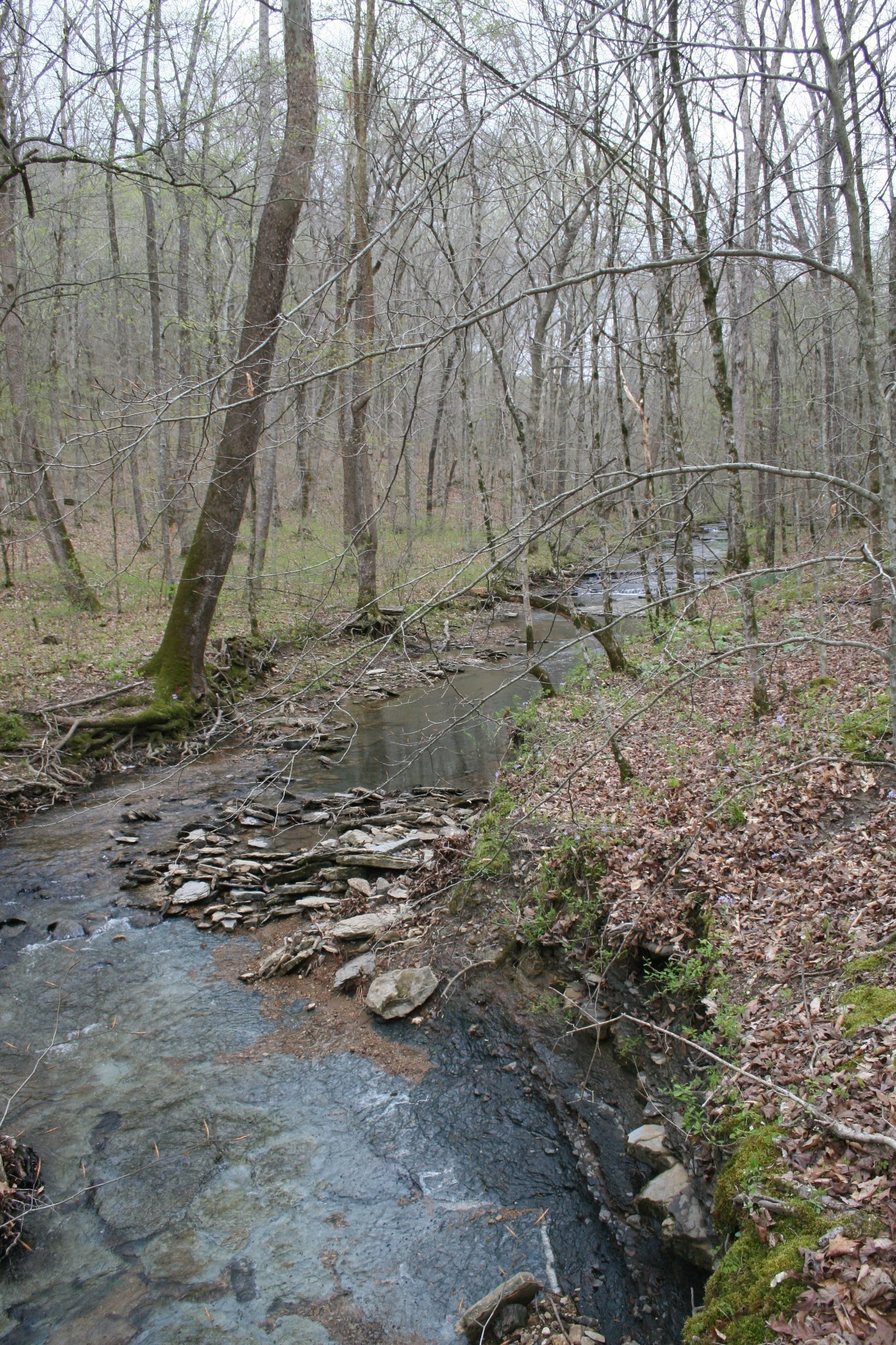 5671 Pinewood Road Franklin TN 37064