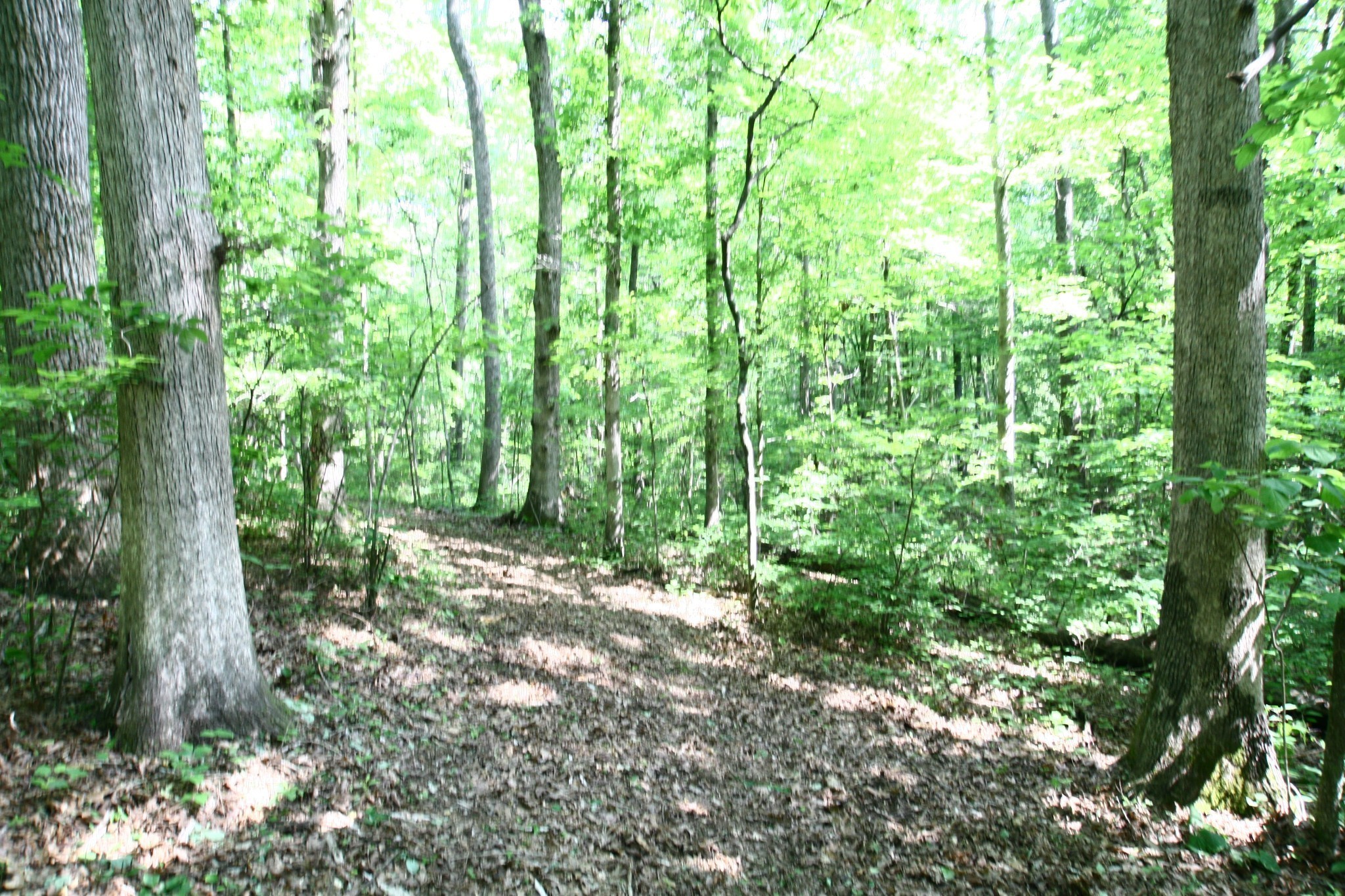5671 Pinewood Road Franklin TN 37064