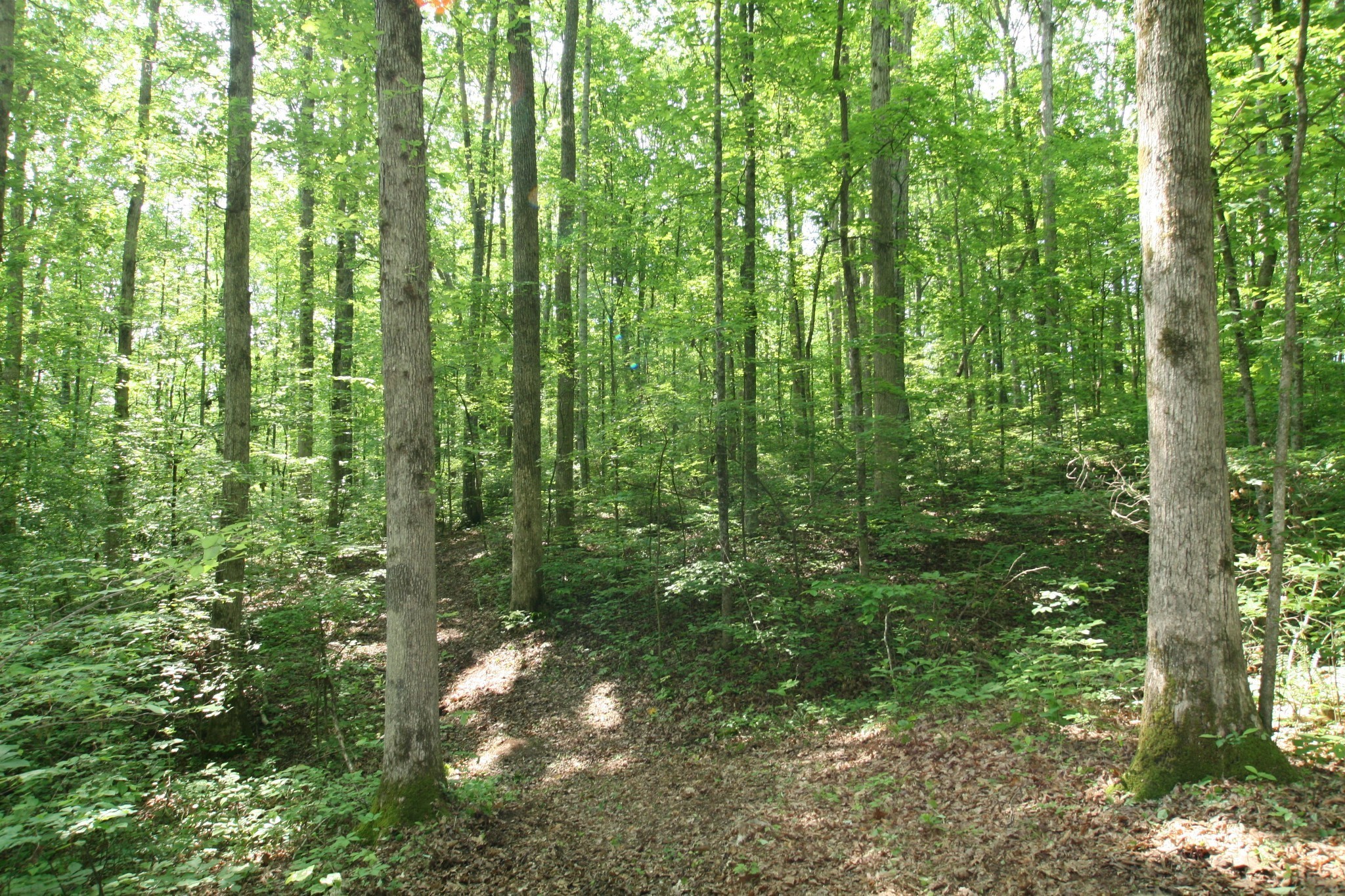 5671 Pinewood Road Franklin TN 37064