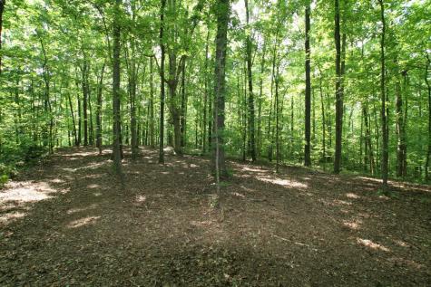 5671 Pinewood Road Franklin TN 37064