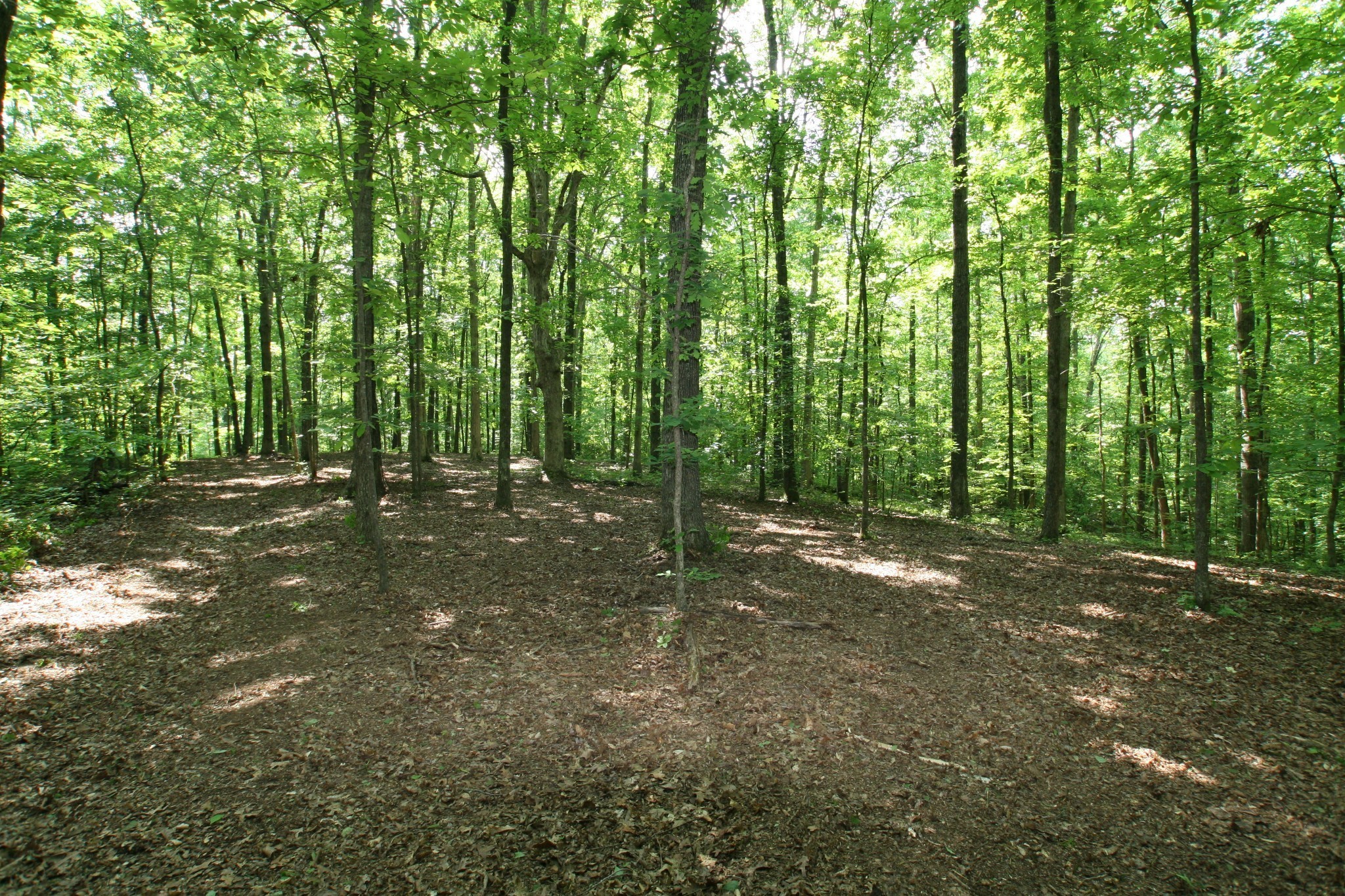 5671 Pinewood Road Franklin TN 37064