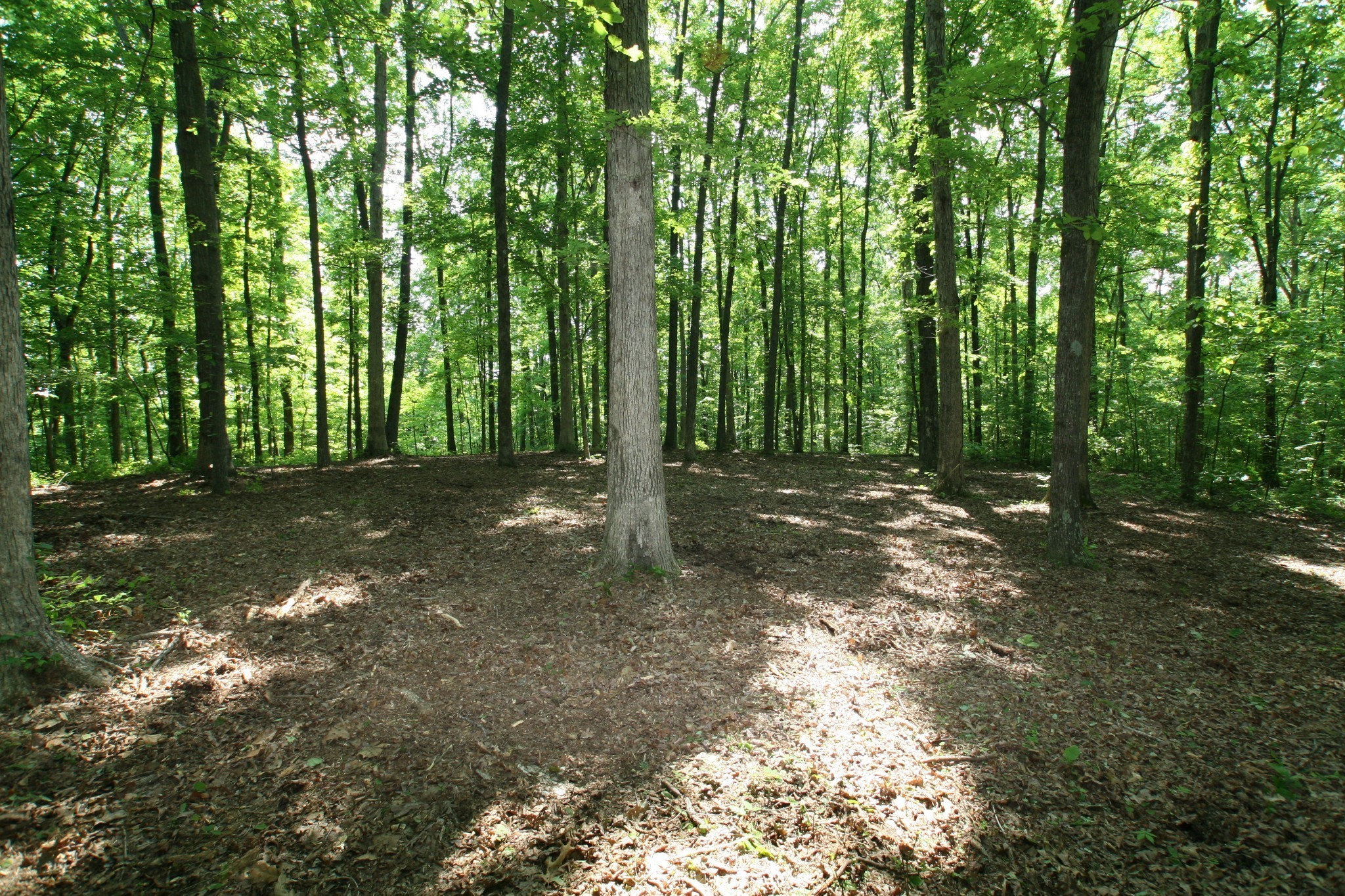 5671 Pinewood Road Franklin TN 37064