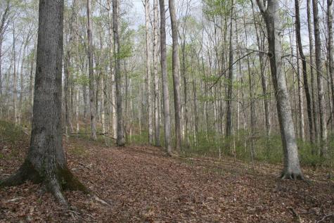 5671 Pinewood Road Franklin TN 37064