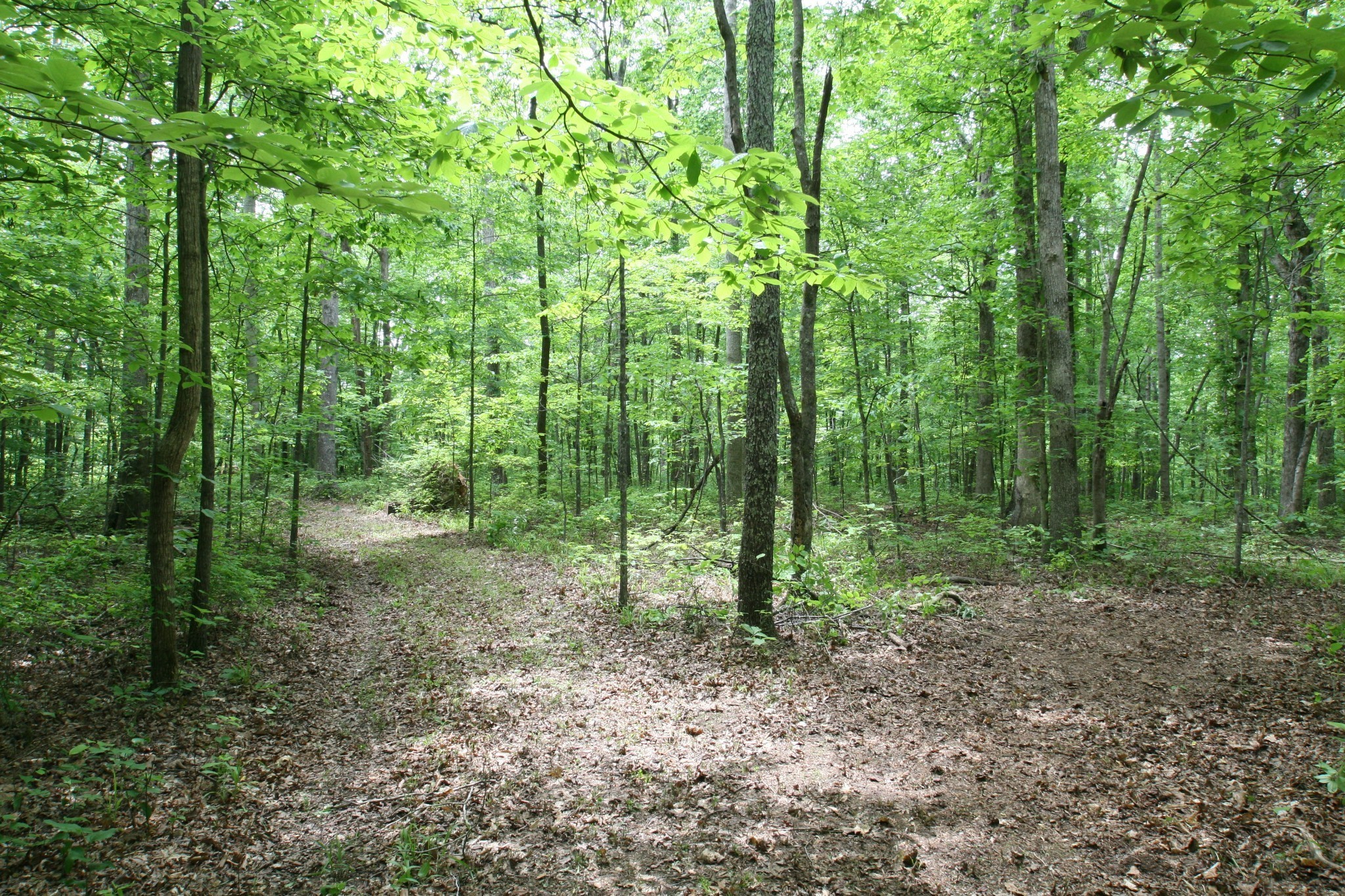 5671 Pinewood Road Franklin TN 37064