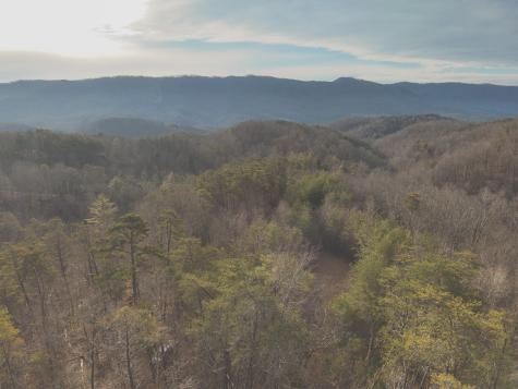 1133 Macedonia Martin Gap Road Englewood TN 37329