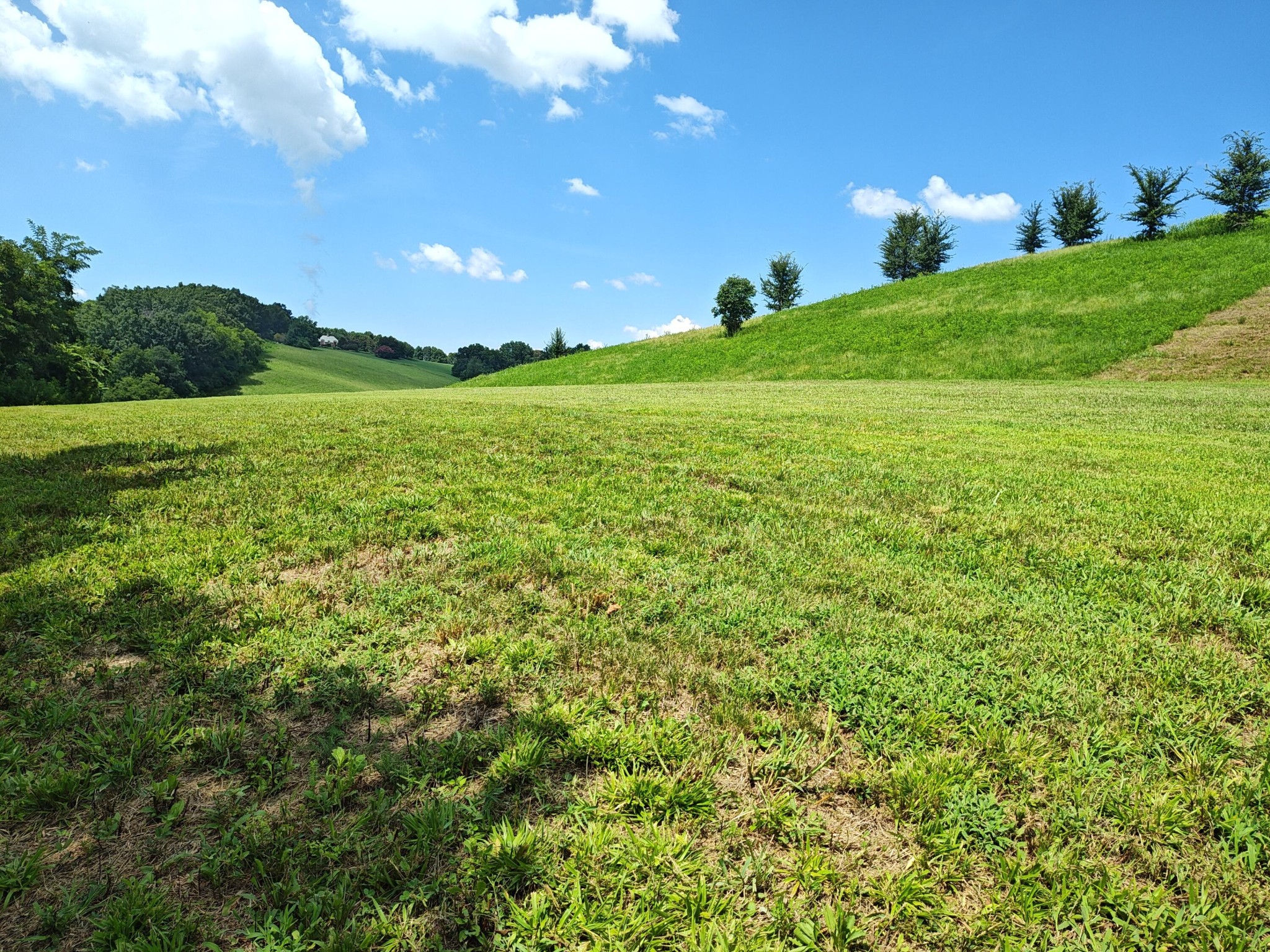 72 Espalier Drive Decatur TN 37322