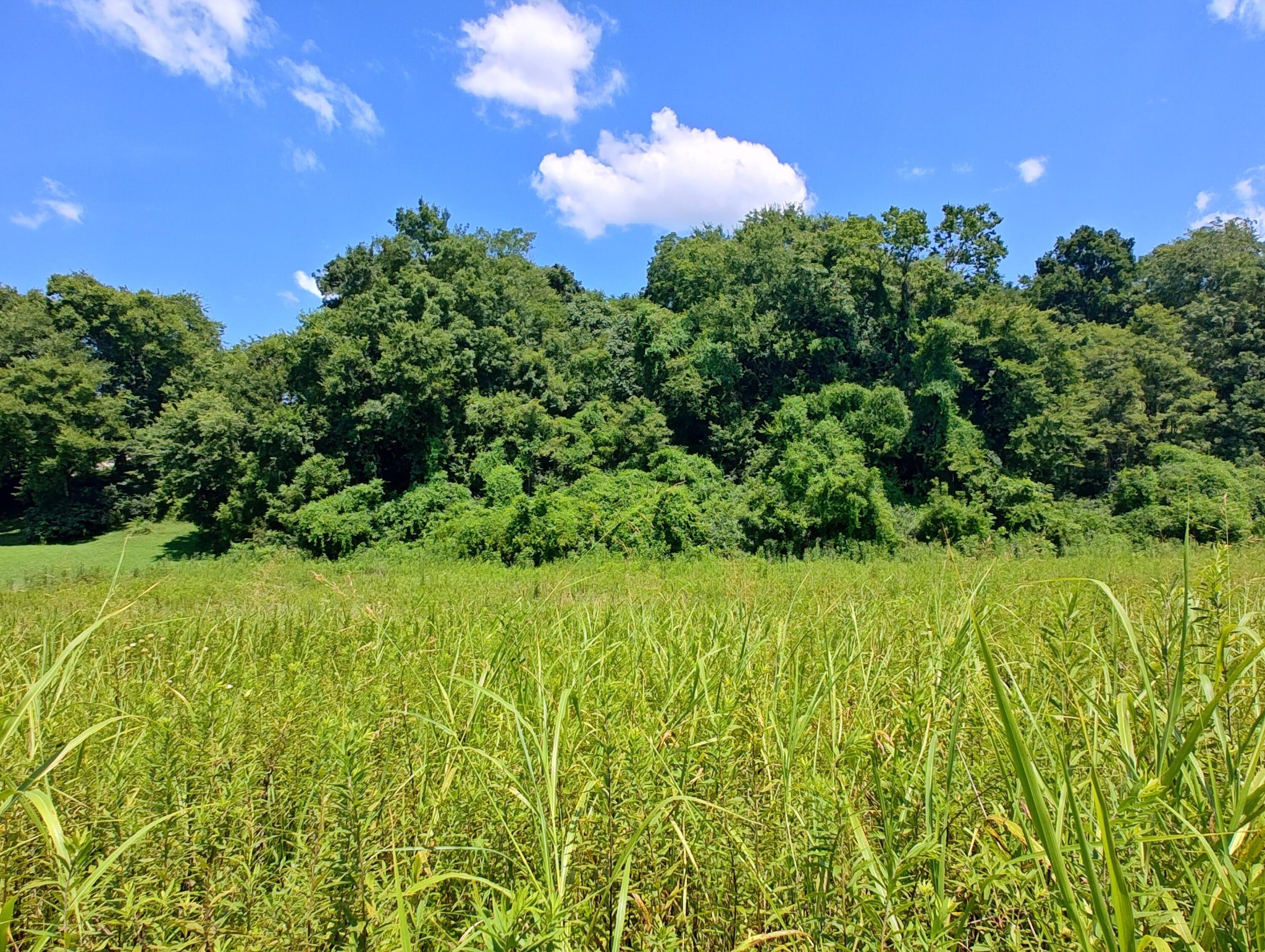 72 Espalier Drive Decatur TN 37322