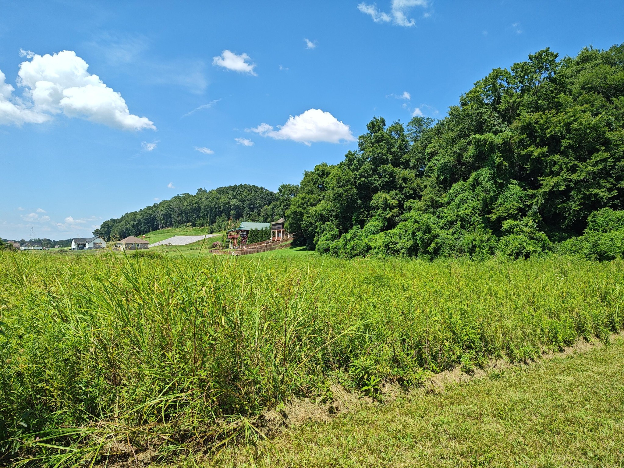 72 Espalier Drive Decatur TN 37322