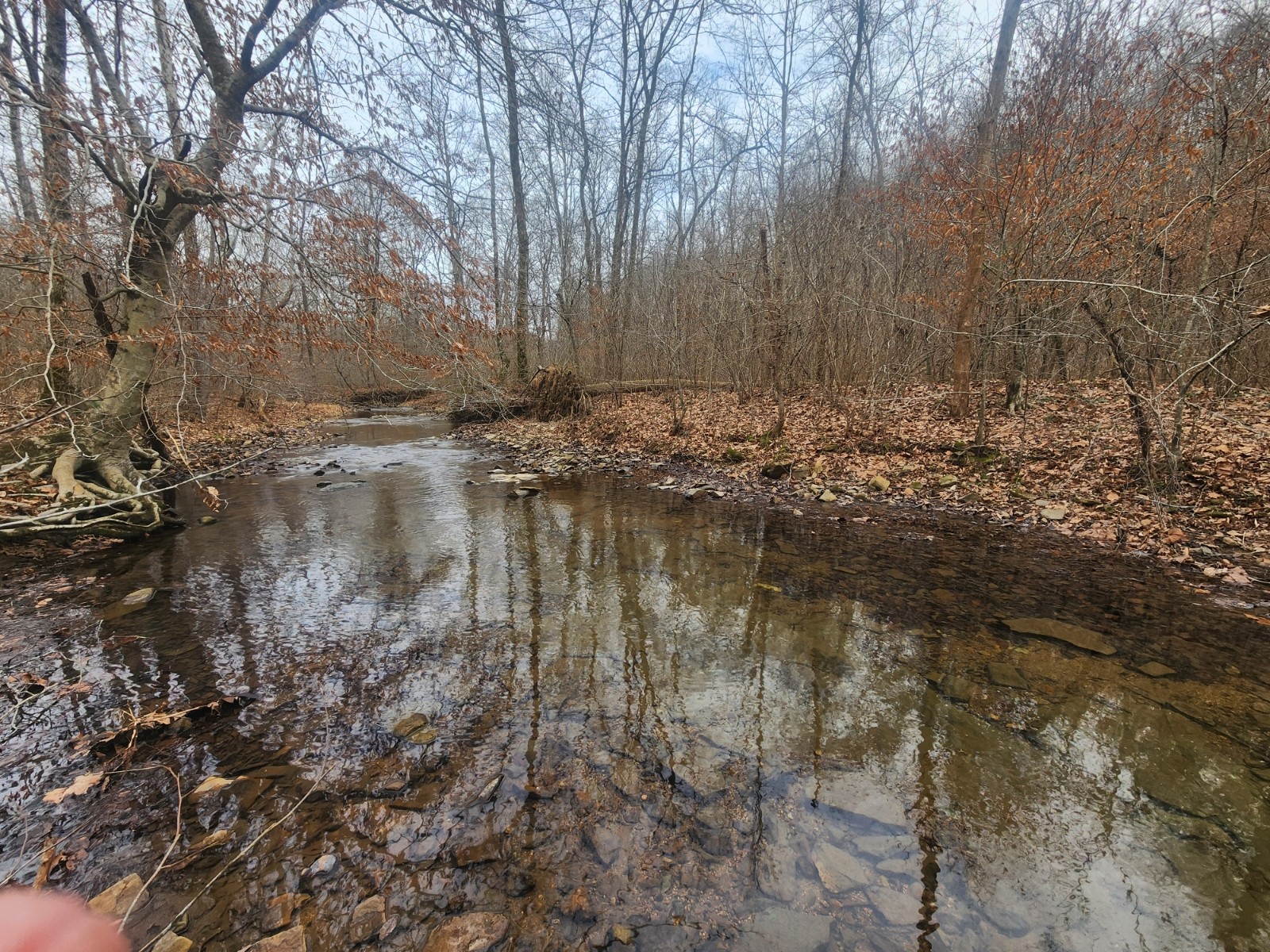 10 Blowing Springs Road Lawrenceburg TN 38464