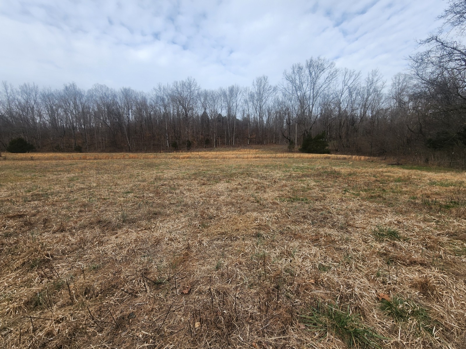 10 Blowing Springs Road Lawrenceburg TN 38464