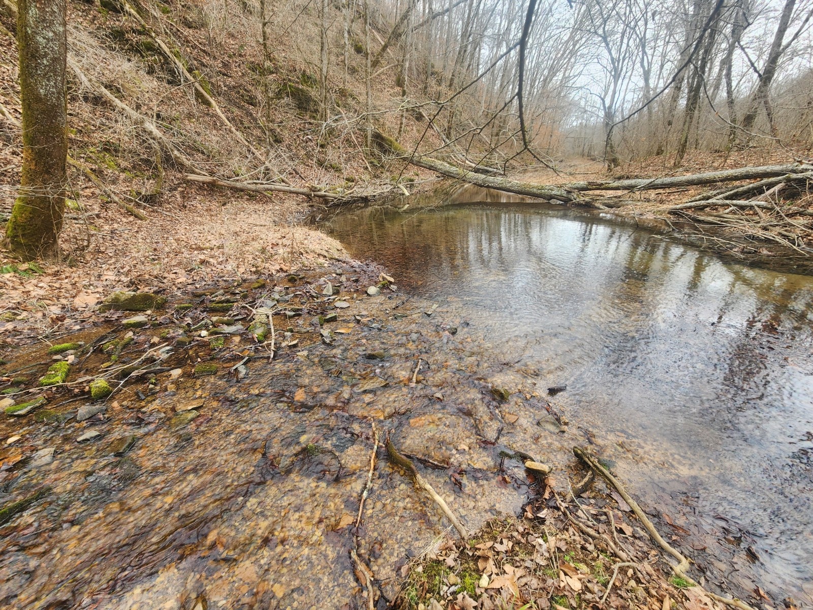 10 Blowing Springs Road Lawrenceburg TN 38464