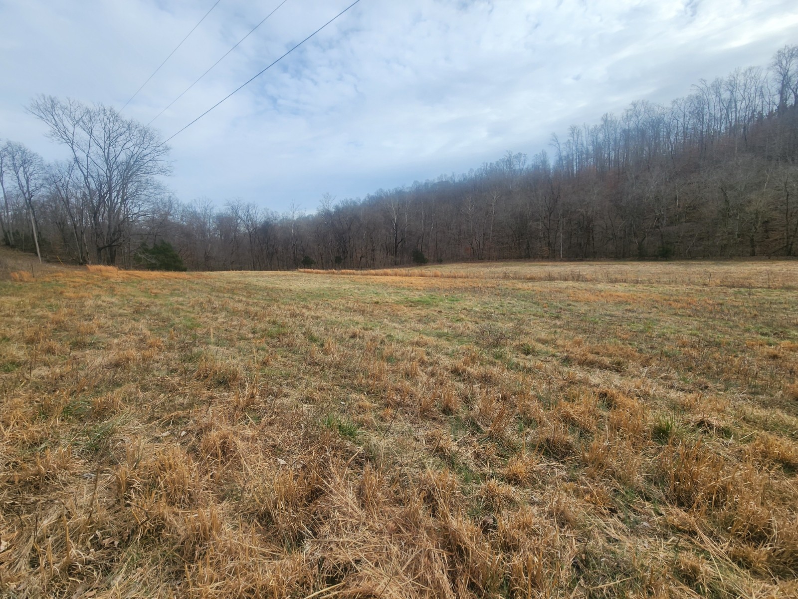 10 Blowing Springs Road Lawrenceburg TN 38464