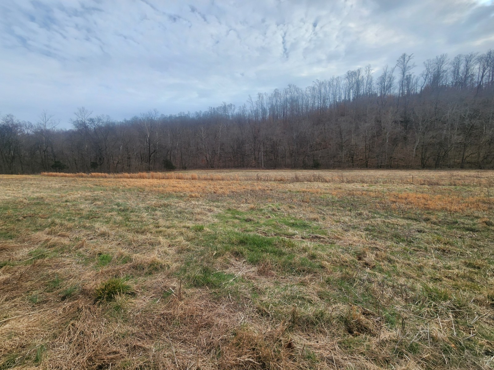 10 Blowing Springs Road Lawrenceburg TN 38464