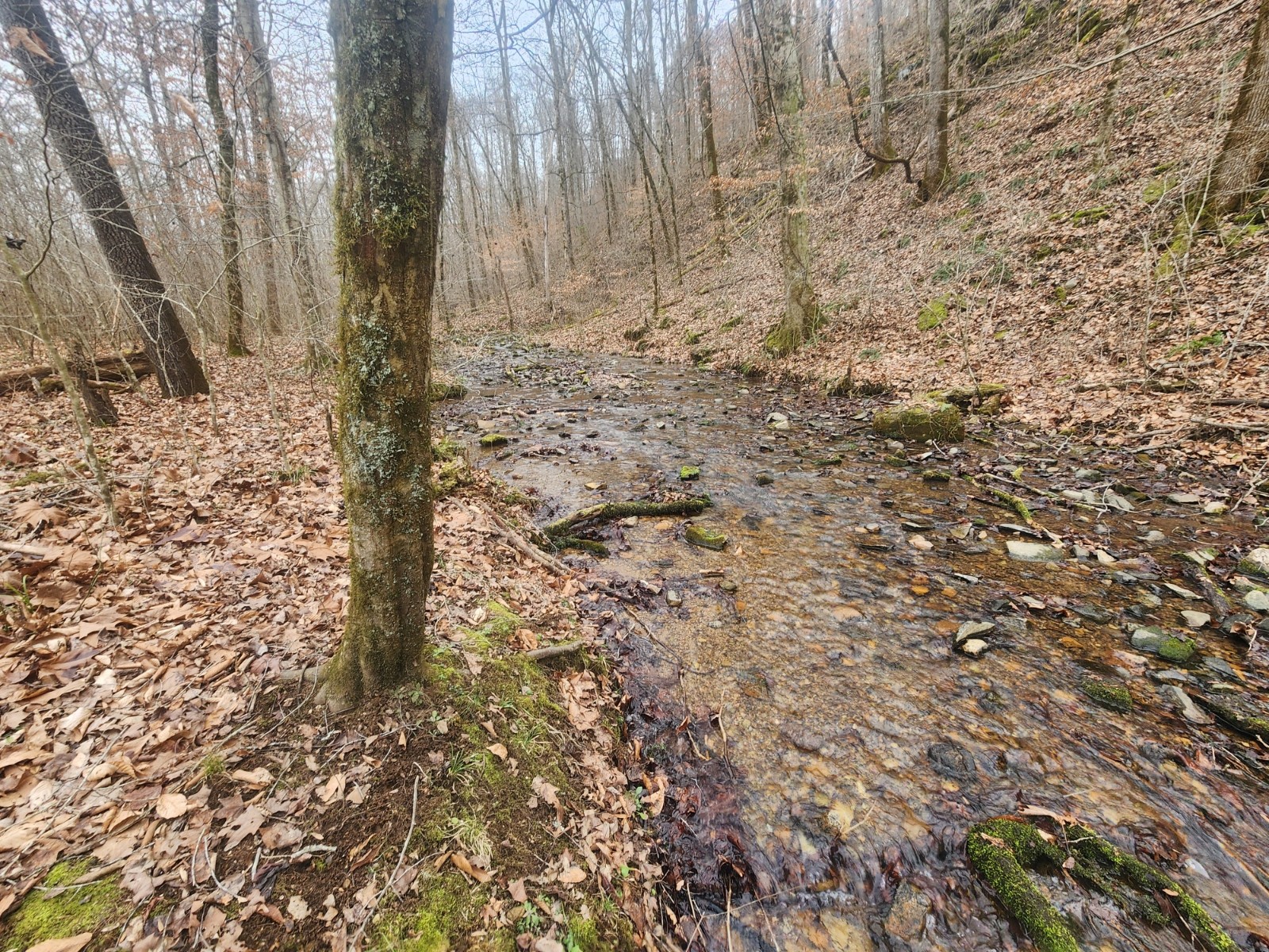 10 Blowing Springs Road Lawrenceburg TN 38464