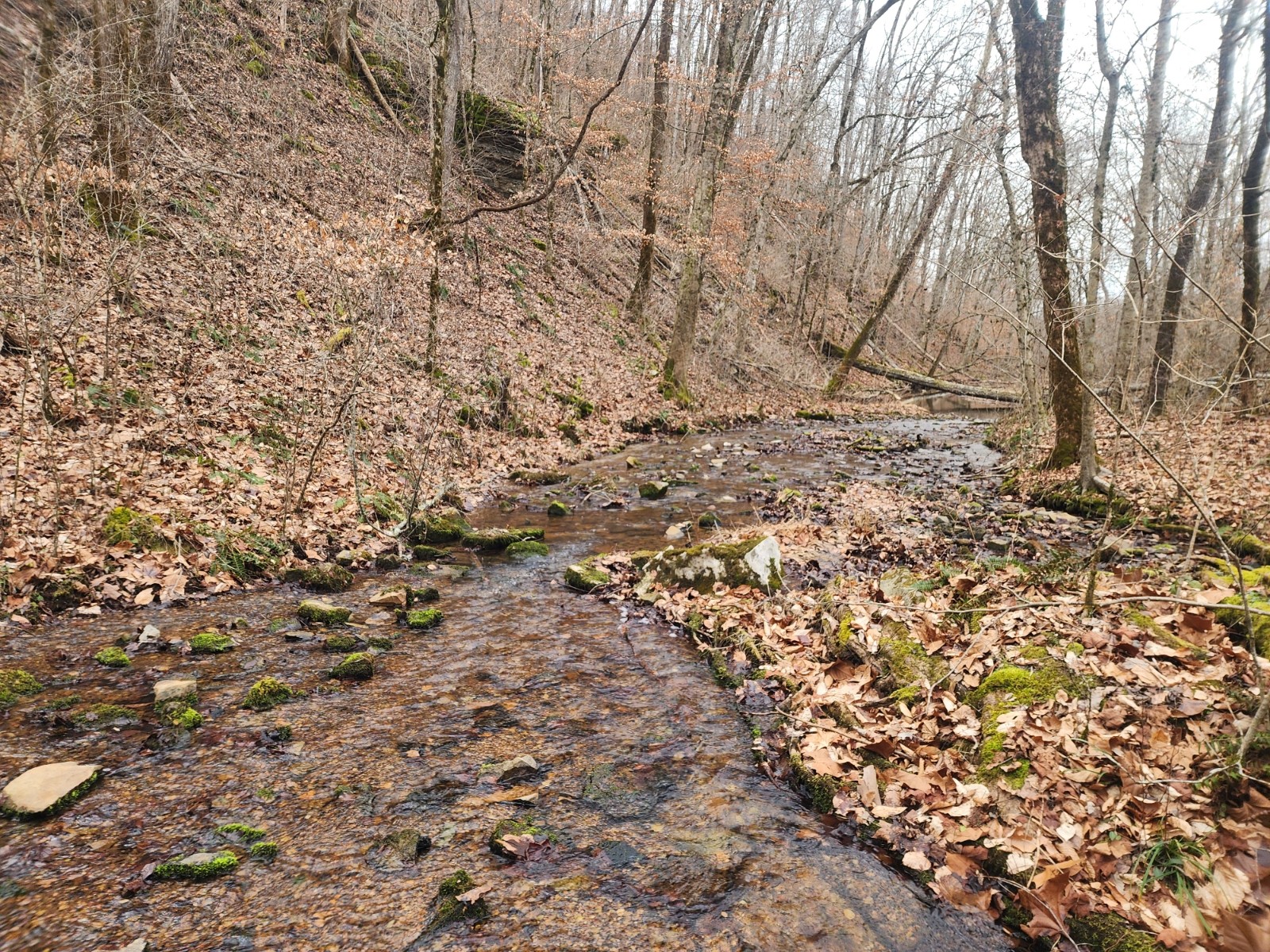 10 Blowing Springs Road Lawrenceburg TN 38464