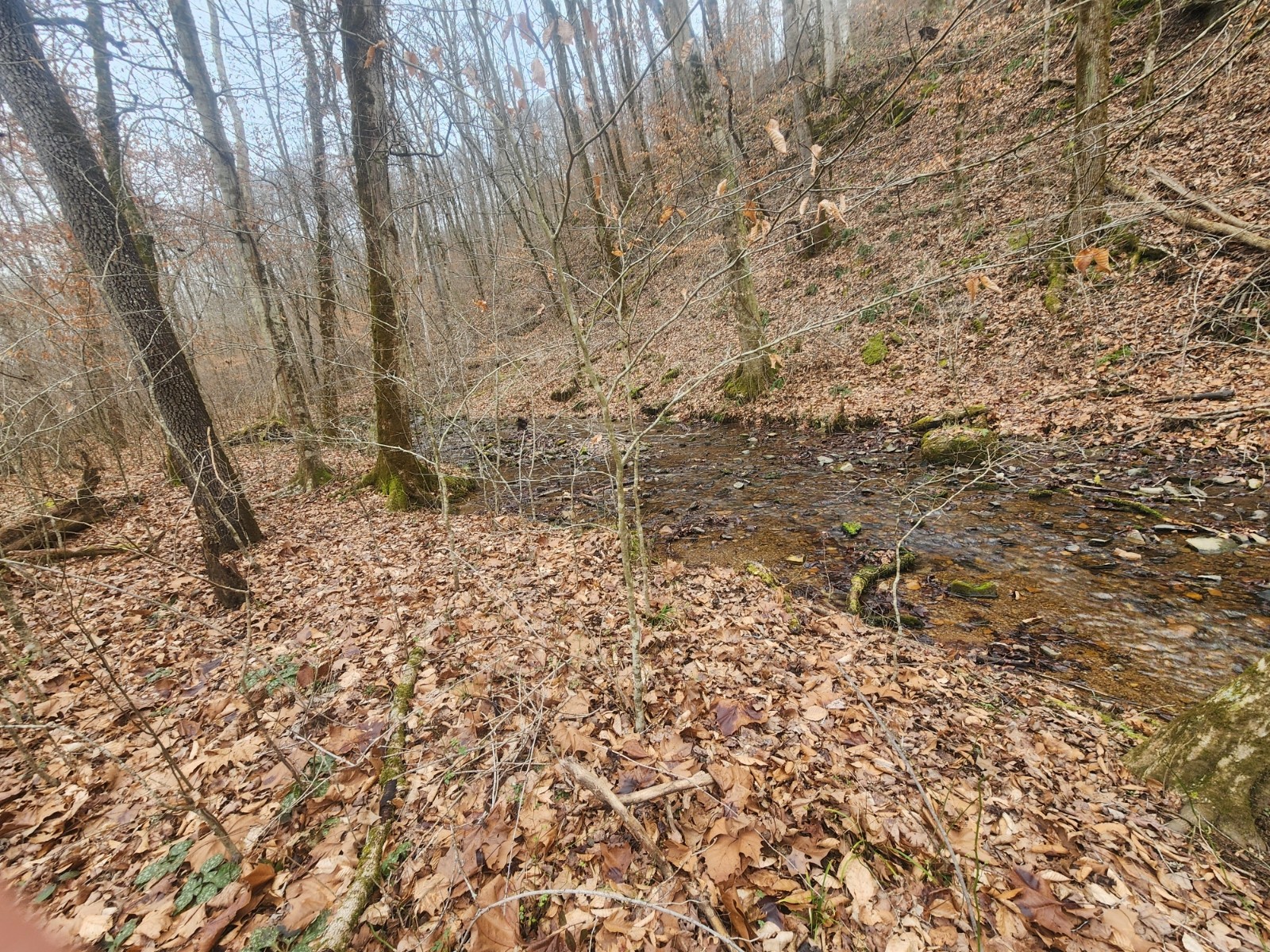 10 Blowing Springs Road Lawrenceburg TN 38464