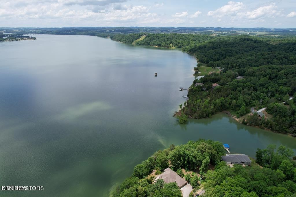 1147 Lakefront Place Baneberry TN 37890
