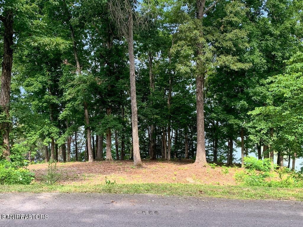 1147 Lakefront Place Baneberry TN 37890