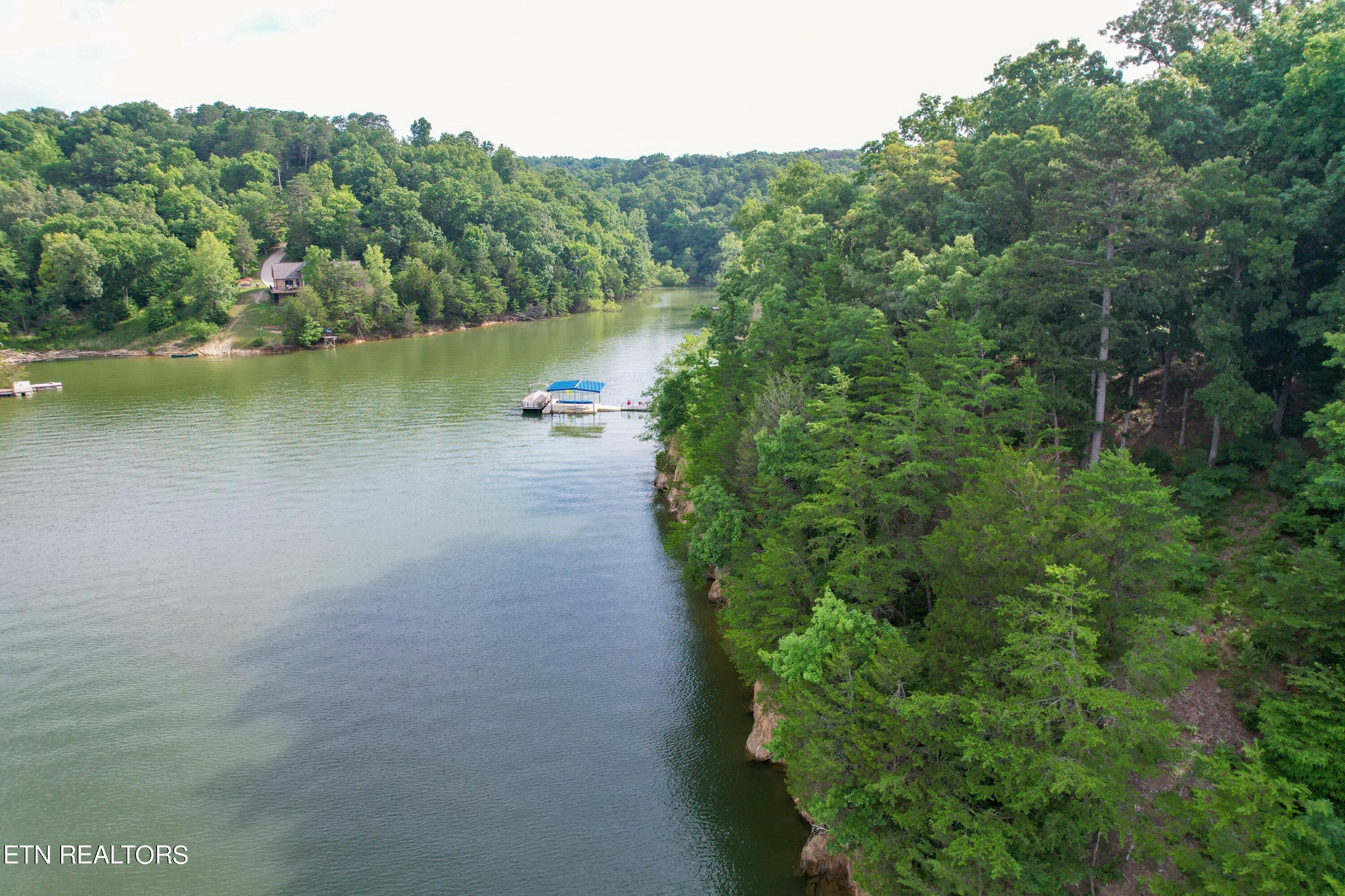 1147 Lakefront Place Baneberry TN 37890