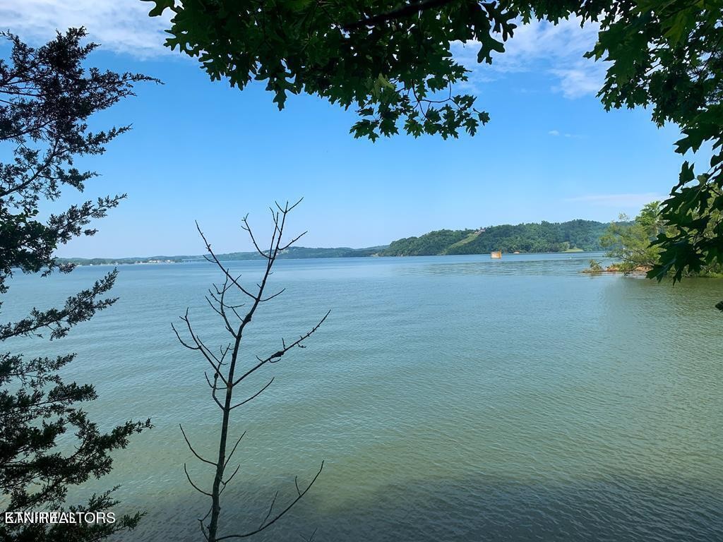 1147 Lakefront Place Baneberry TN 37890