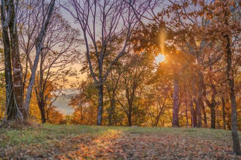 0 Burke Hollow Road Tract 1 Nolensville TN 37135