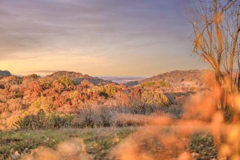 0 Burke Hollow Road Tract 1 Nolensville TN 37135