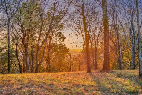 0 Burke Hollow Road Tract 1 Nolensville TN 37135