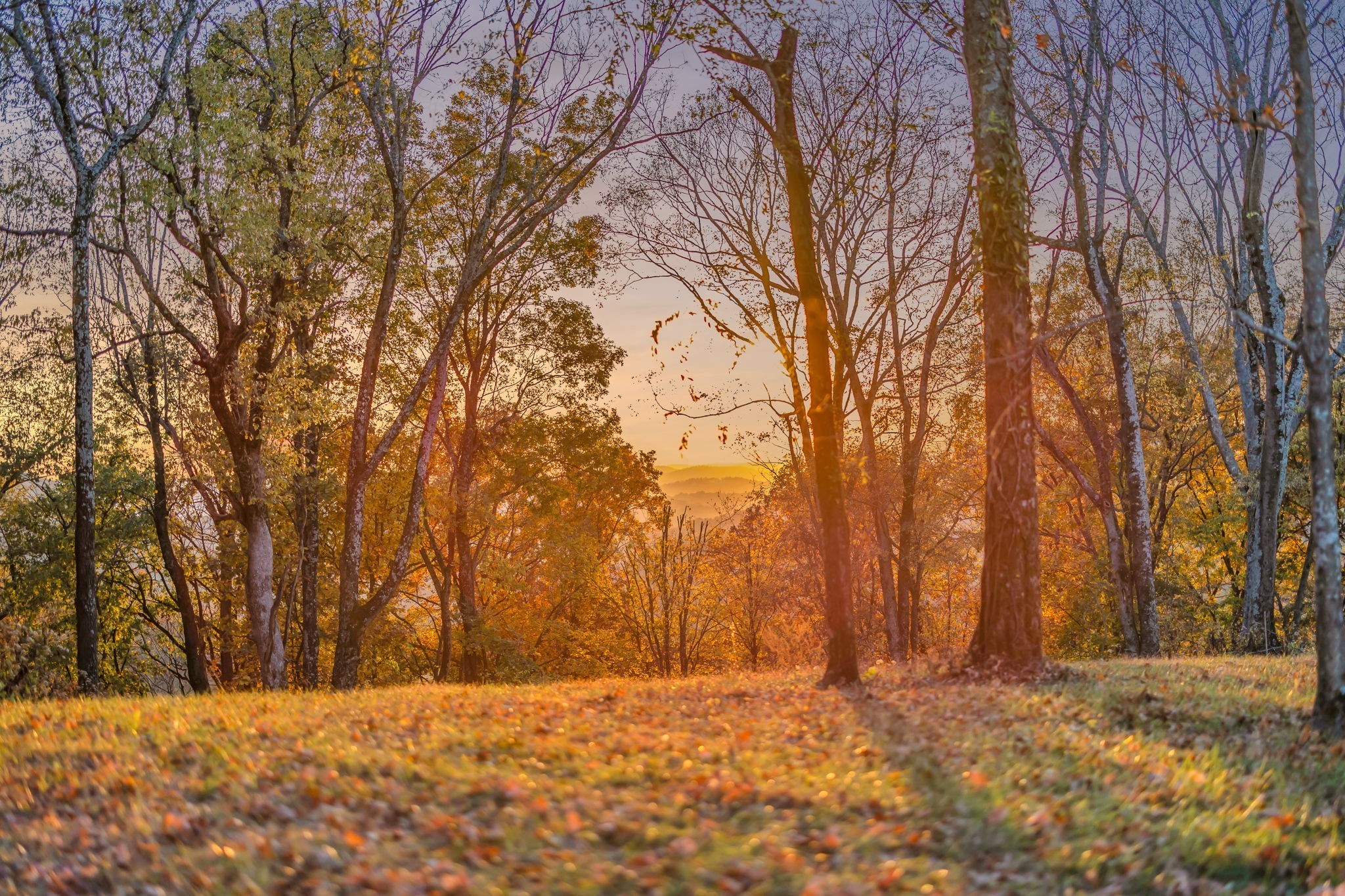 0 Burke Hollow Road Tract 1 Nolensville TN 37135