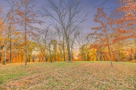 0 Burke Hollow Road Tract 1 Nolensville TN 37135